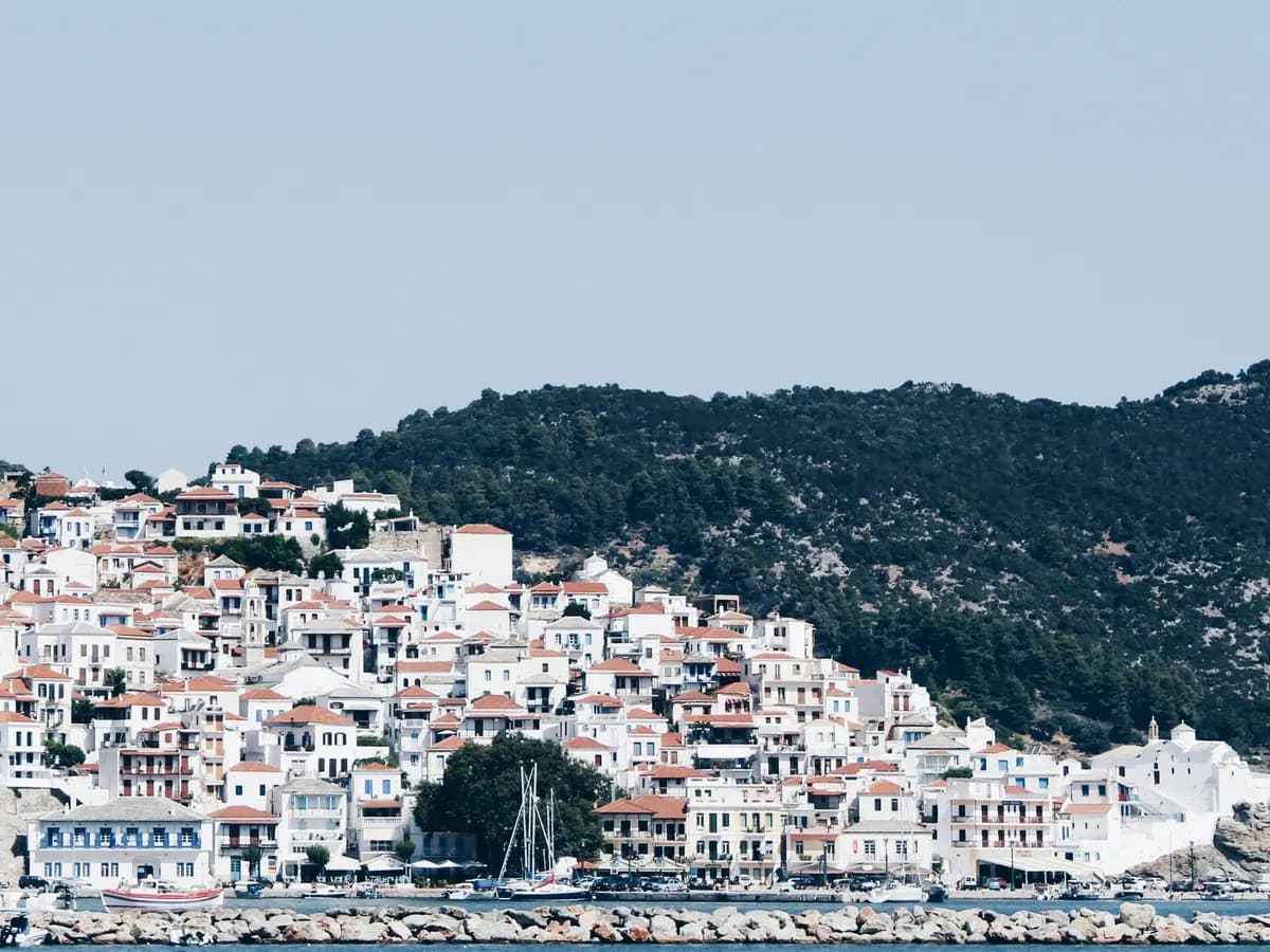 Elsewhere in Greece: white houses with red roofs below a pine-covered hill, Skopelos